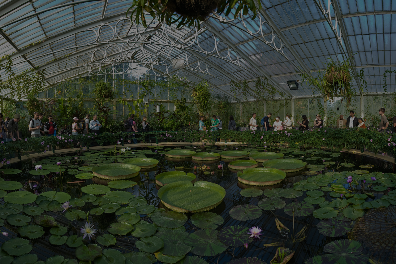 Join our exciting coach tours.